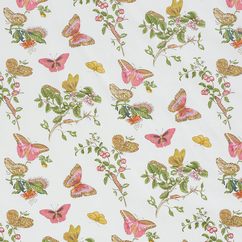 Schumacher BAUDIN BUTTERFLY CHINTZ BLUSH Fabric | Atlanta Fabrics