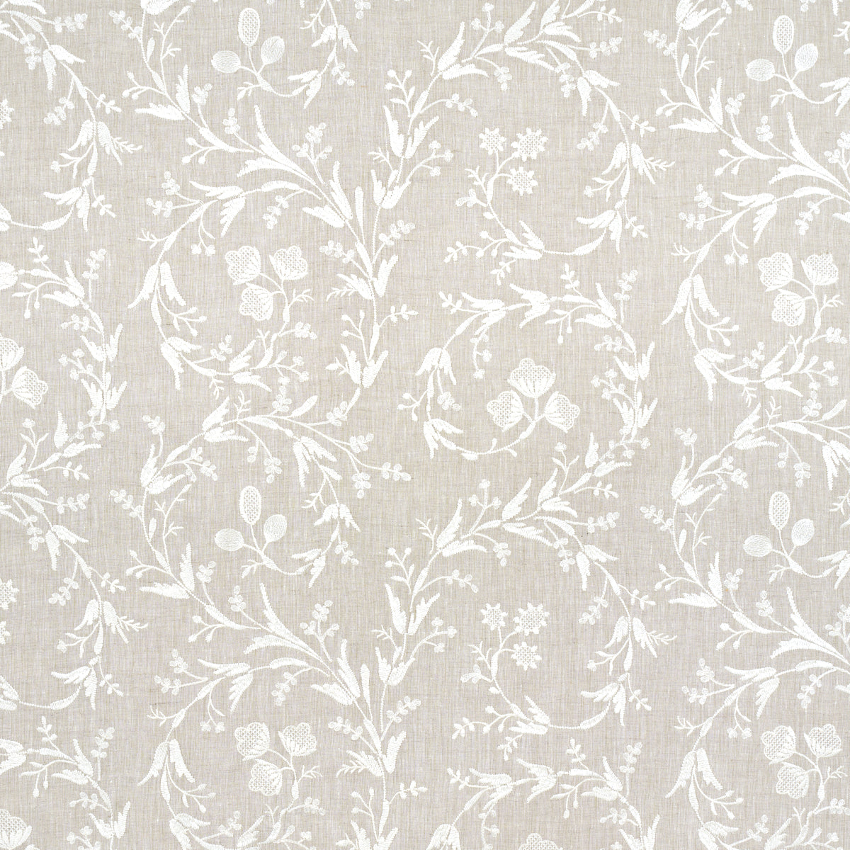 Schumacher Fiorentina Embroidered Sheer OAT Fabric | Atlanta Fabrics
