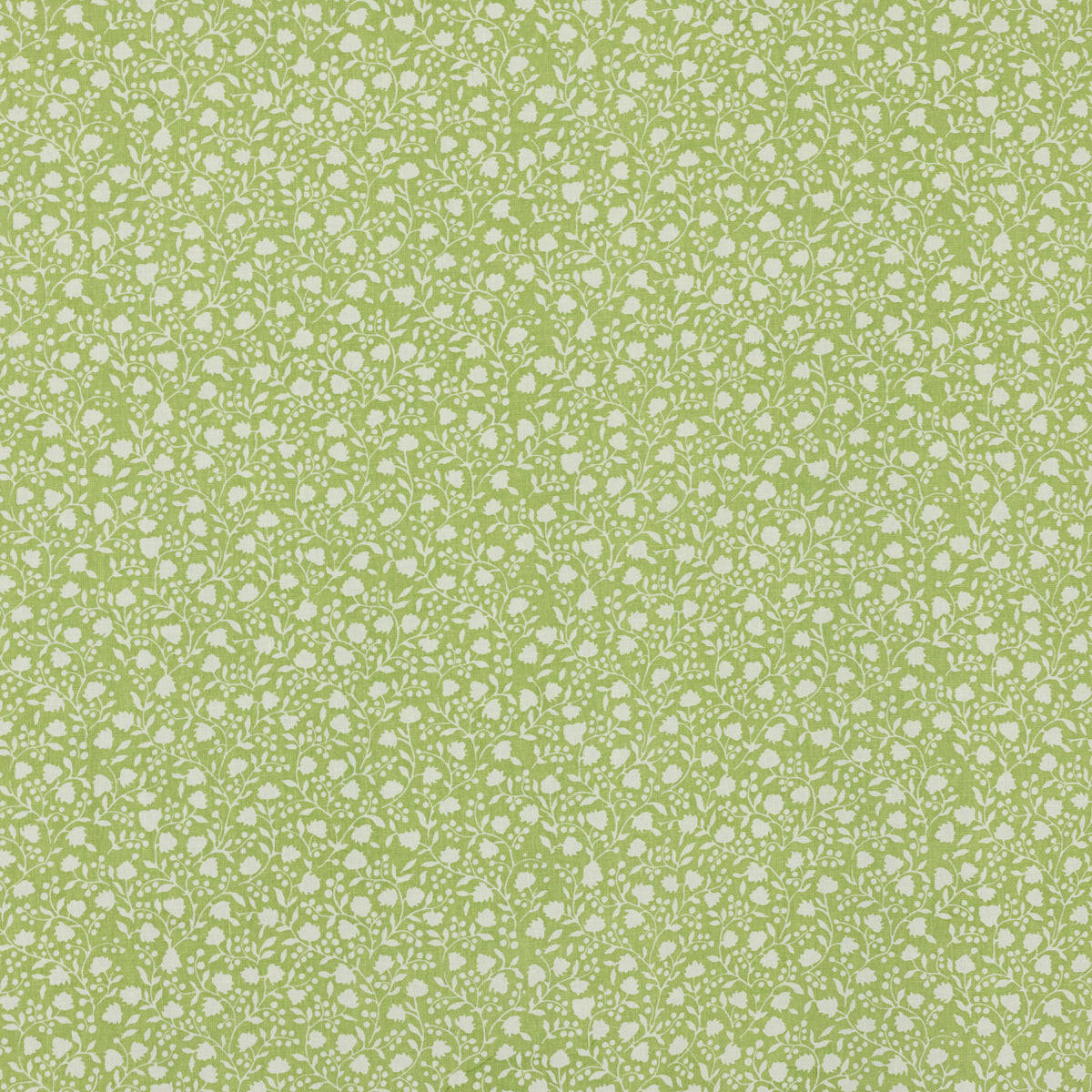 Schumacher ELLIE CELERY Fabric | Atlanta Fabrics