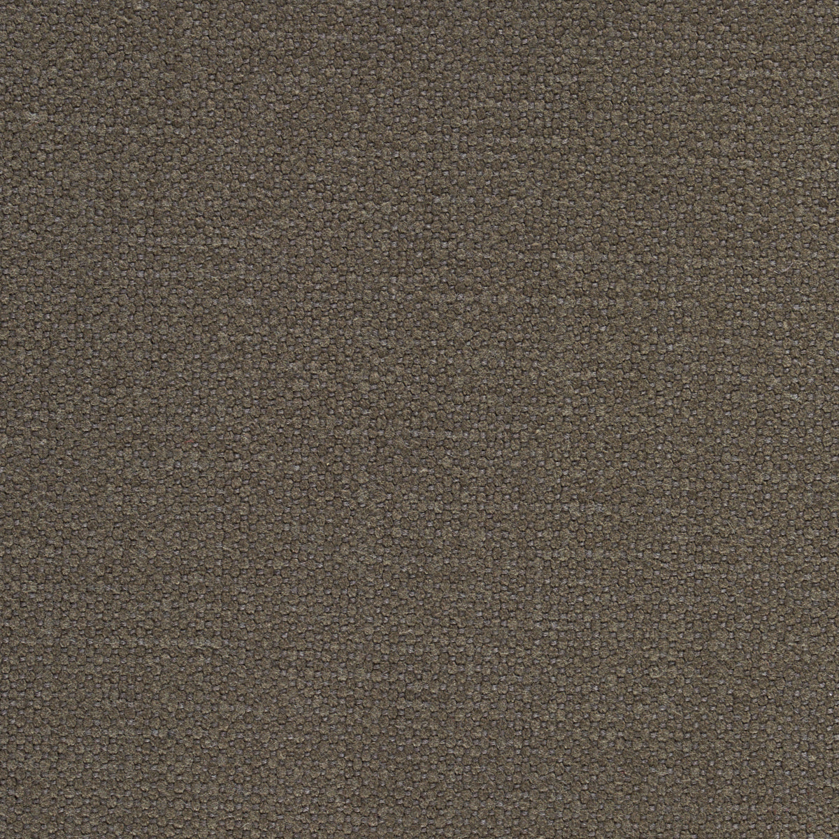 LANGHAM HIGH PERFORMANCE UNION COCOA