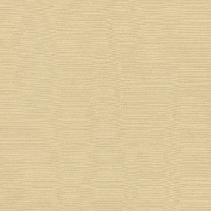 Schumacher LAMPEDUSA INDOOR/OUTDOOR ECRU Fabric | Atlanta Fabrics