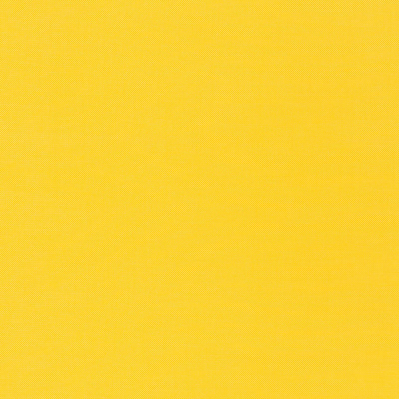 Schumacher MONDELLO INDOOR/OUTDOOR YELLOW Fabric | Atlanta Fabrics