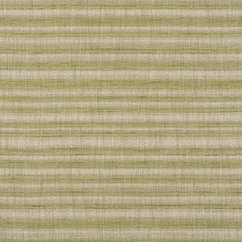 Schumacher PETRA STRIPE GRASS Fabric | Atlanta Fabrics