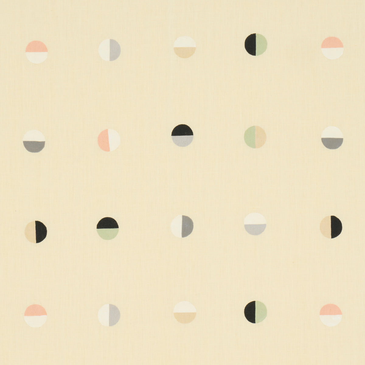 JOSHUA TREE MULTI ON SUN