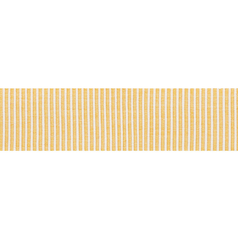 Schumacher KNOX TAPE GOLD Trim | Atlanta Fabrics