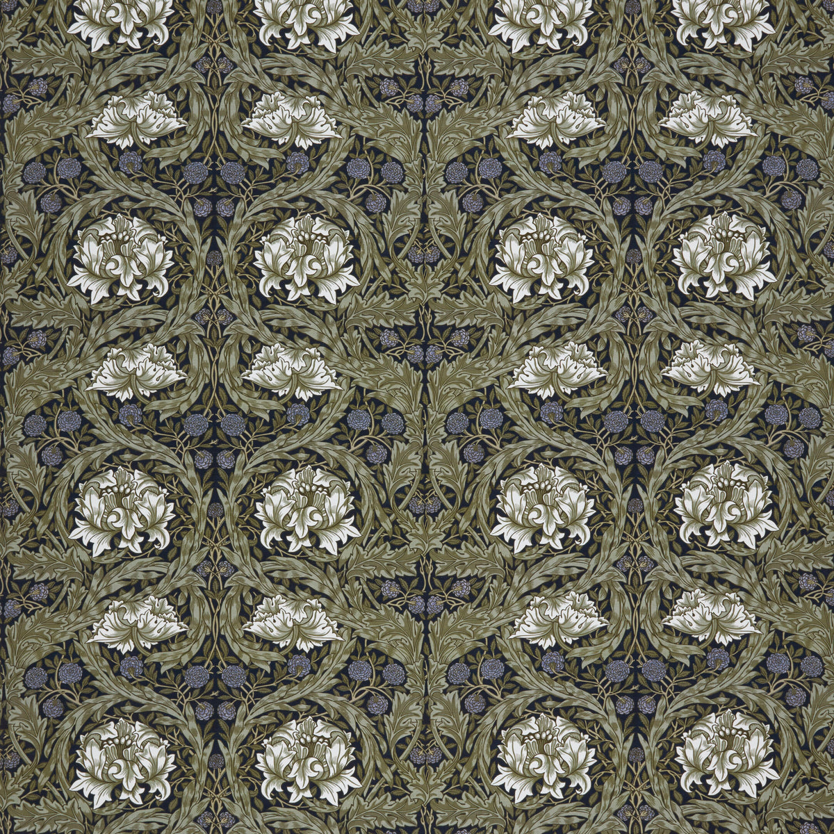 7860 AFRICAN MARIGOLD 1 NAVY