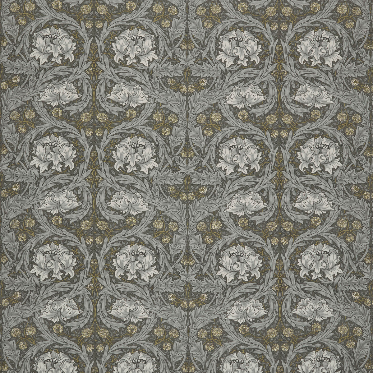 7860 AFRICAN MARIGOLD 2 SLATE