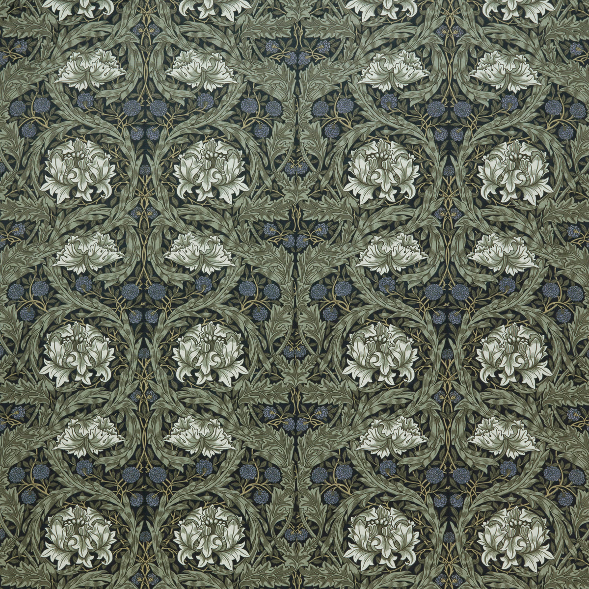 7877 AFRICAN MARIGOLD VELVET 1 INK