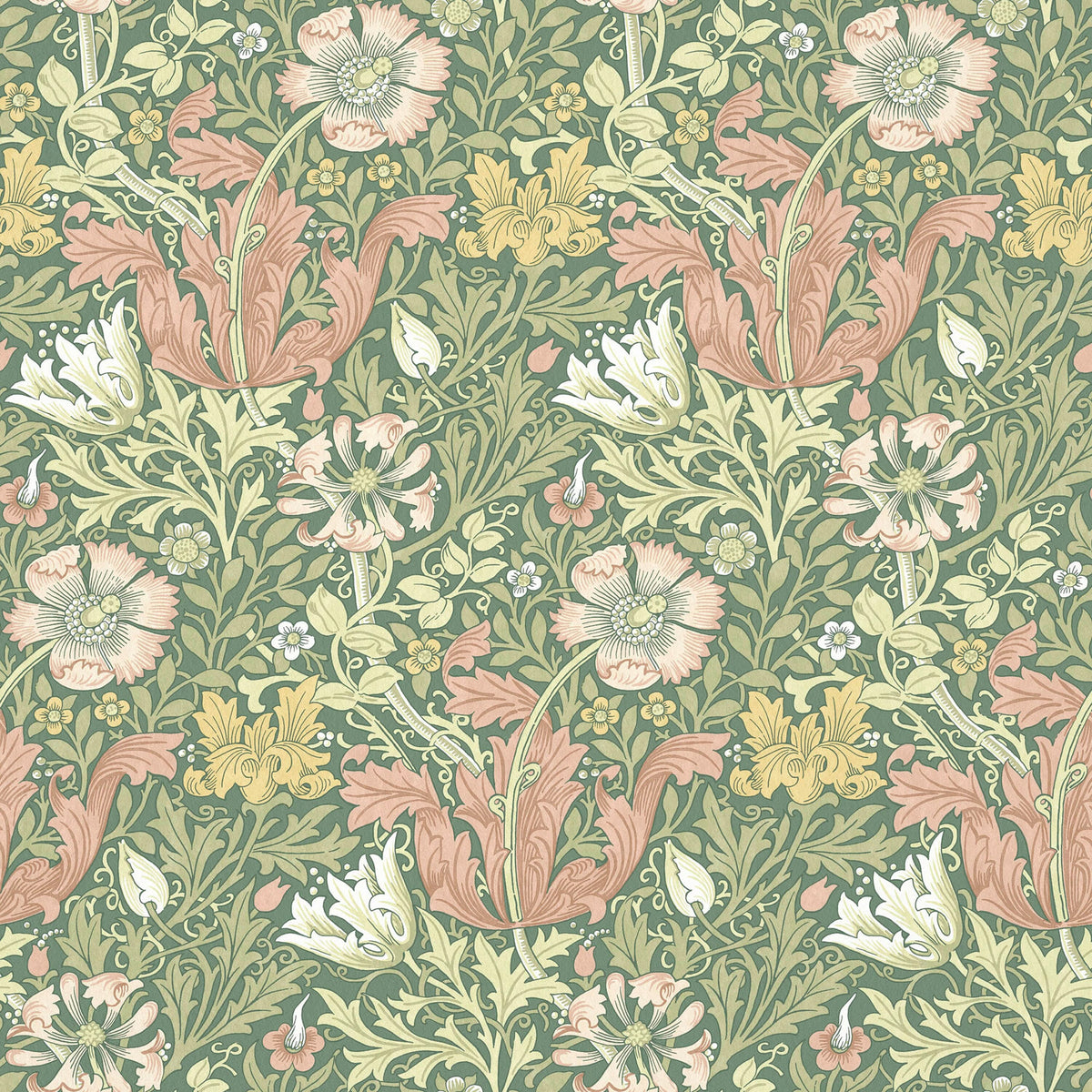 7886 COMPTON VELVET 1 CAMELIA