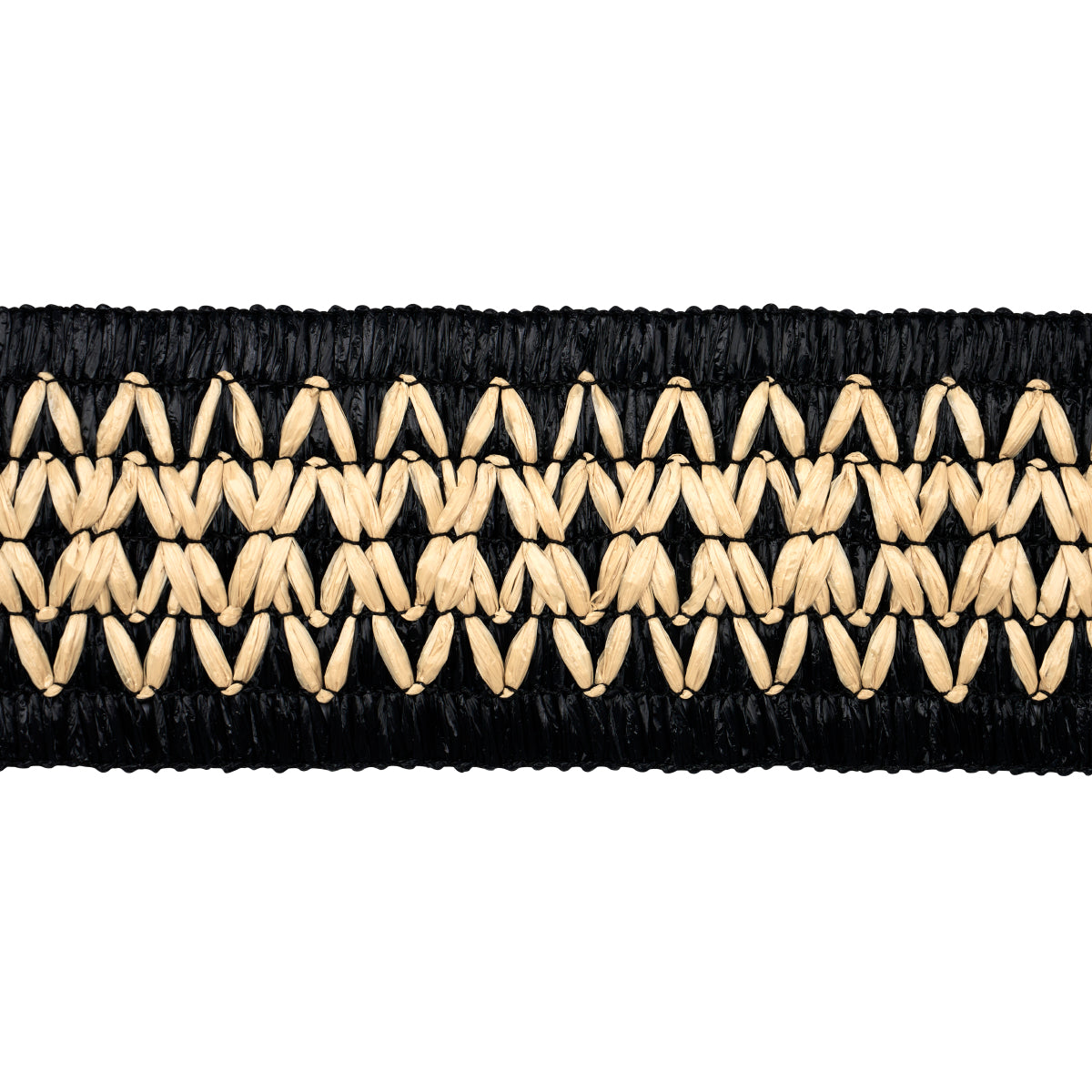 RAPHIINAE TAPE BLACK