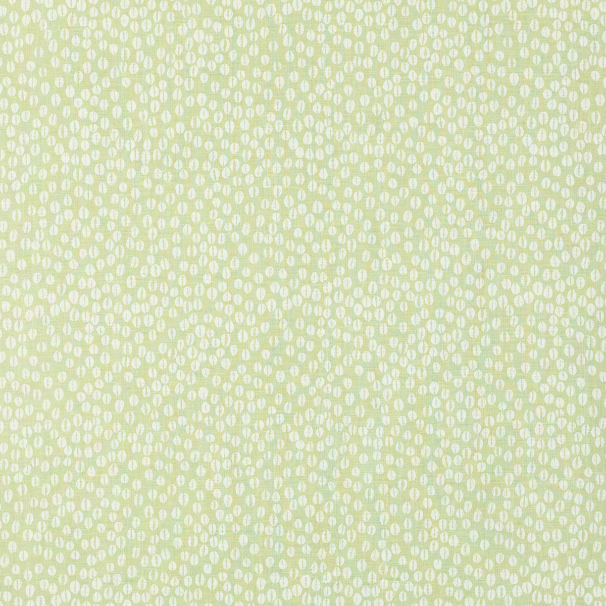 Schumacher COWRIE OLIVINE Fabric | Atlanta Fabrics