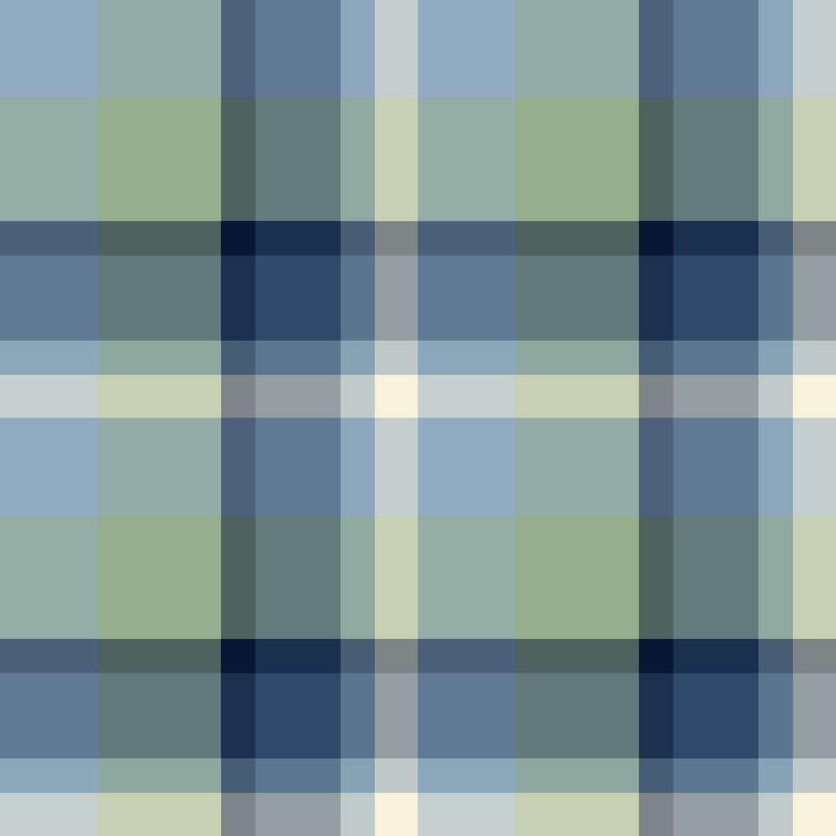 Banjo Plaid Blue