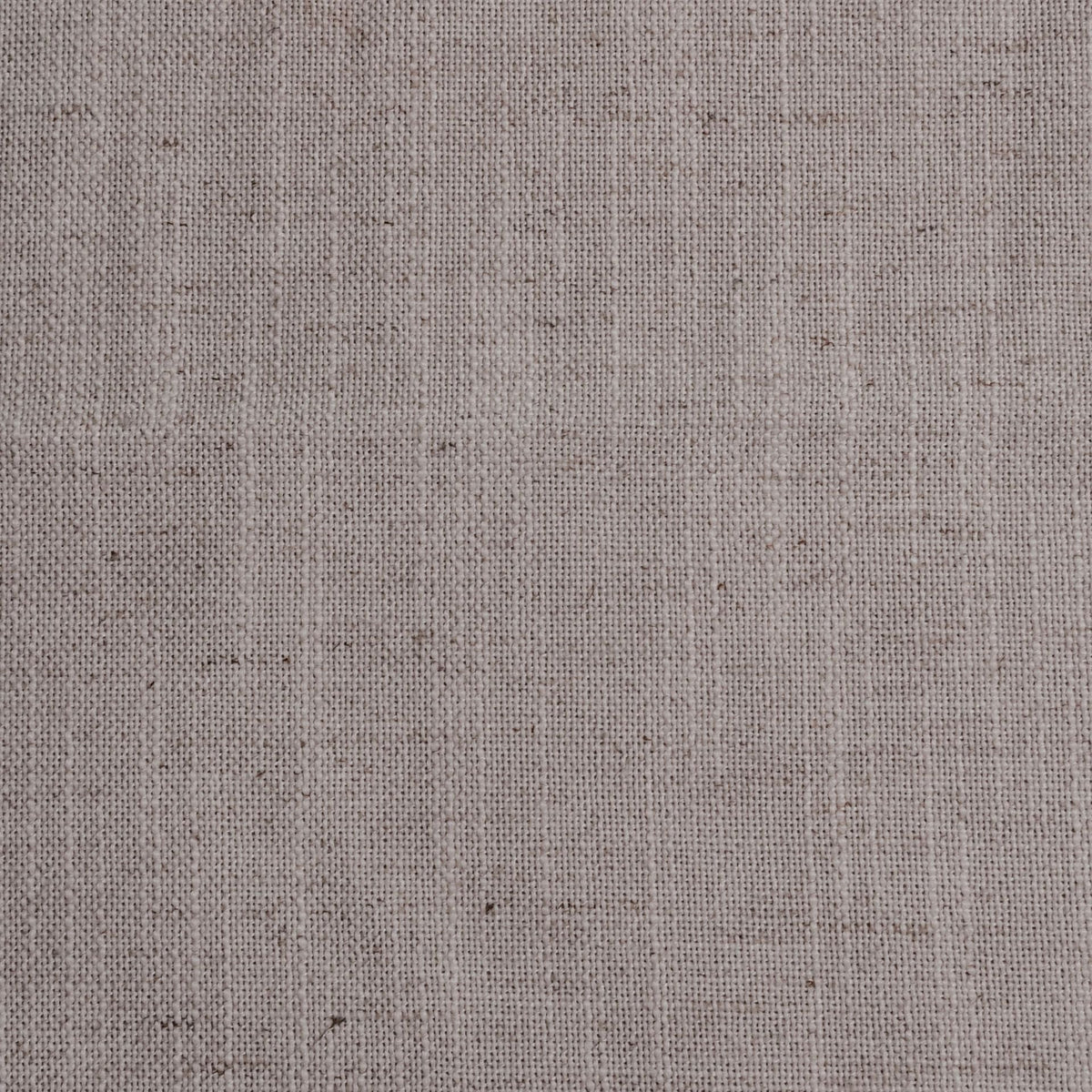 Brigadoon / Stainless