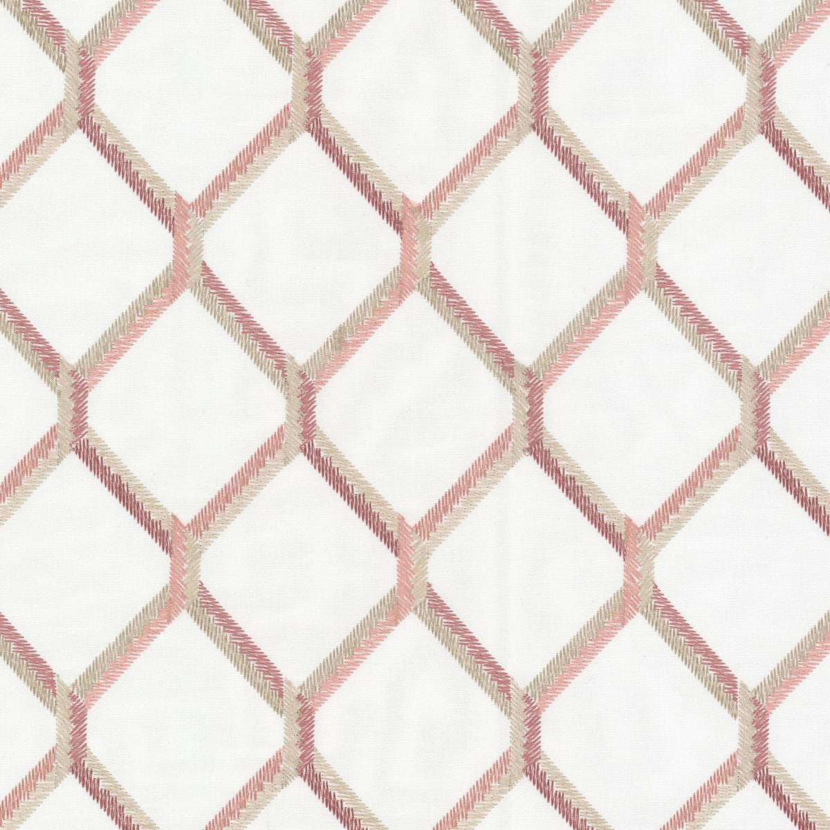 CLEVELAND 1 PRIMROSE