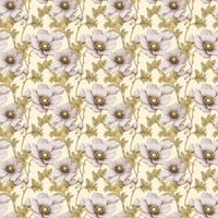 Cashmere Brownie Sage