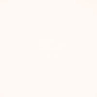 Chaparral Performance FR Faux-Leather