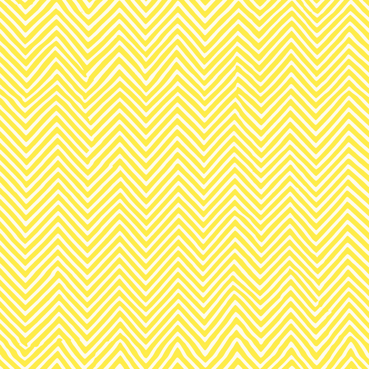 Chase Sunshine