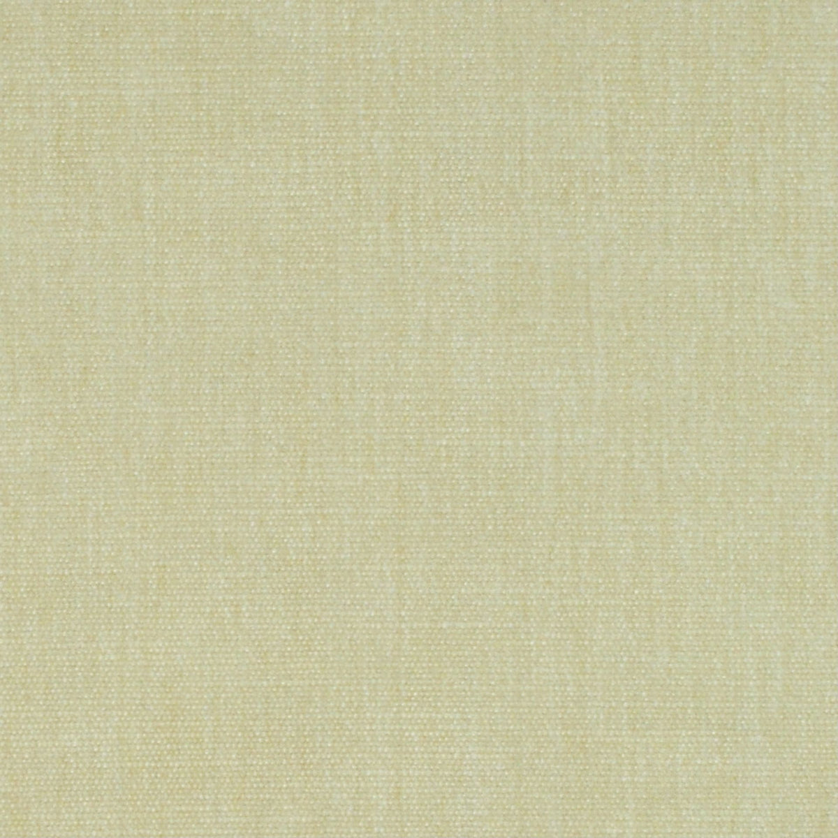 Command Performance Chenille / Candlelight