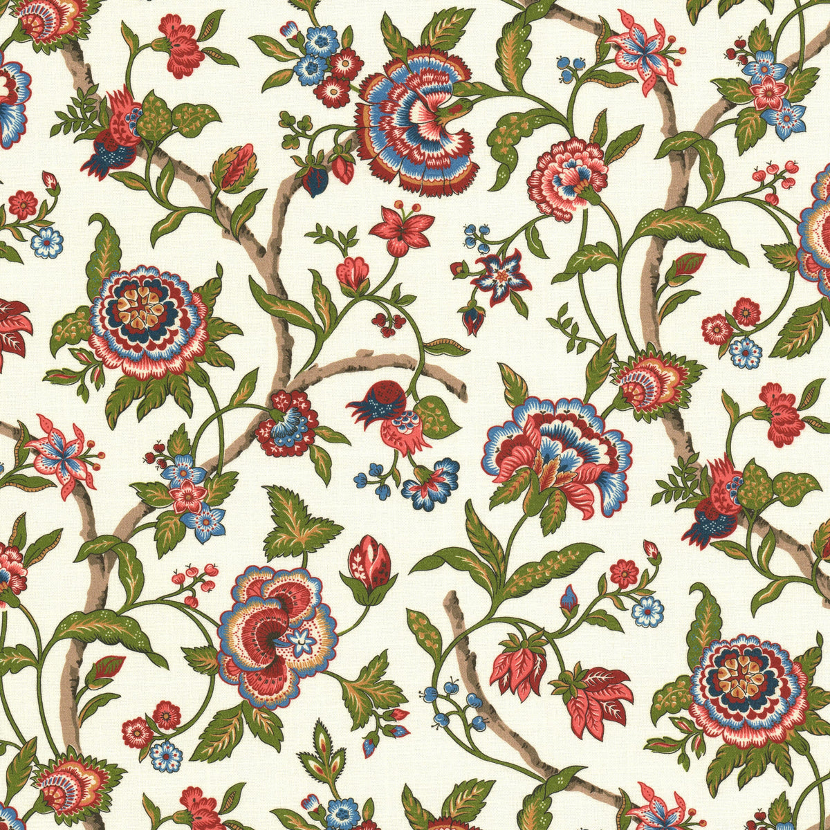 DAIQUIRI 1 FIRECRACKER