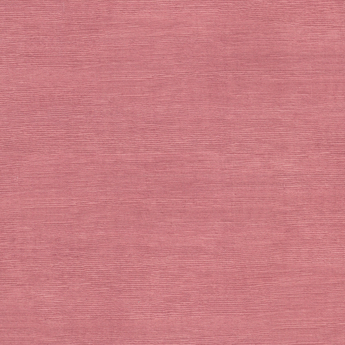 STOUT DANTE 1 PUNCH Fabric | Atlanta Fabrics