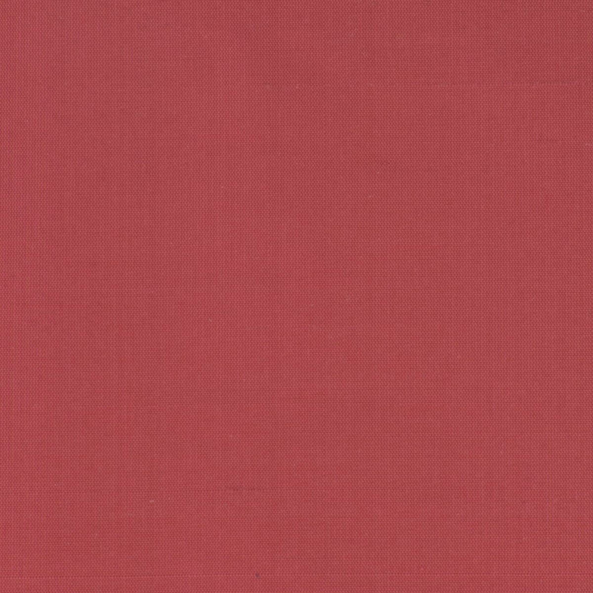 DUPIONI 68 WATERMELON