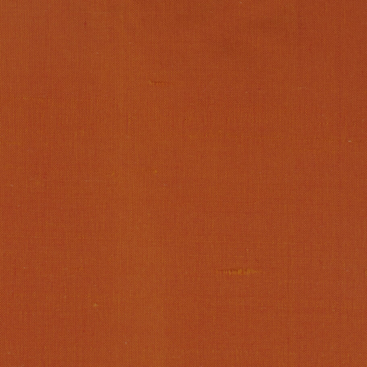 DUPIONI 72 TIGERLILY