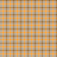 Dizzy Plaid Grey
