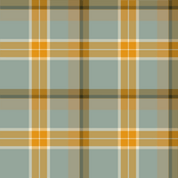 Dizzy Plaid Teal