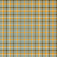 Dizzy Plaid Teal