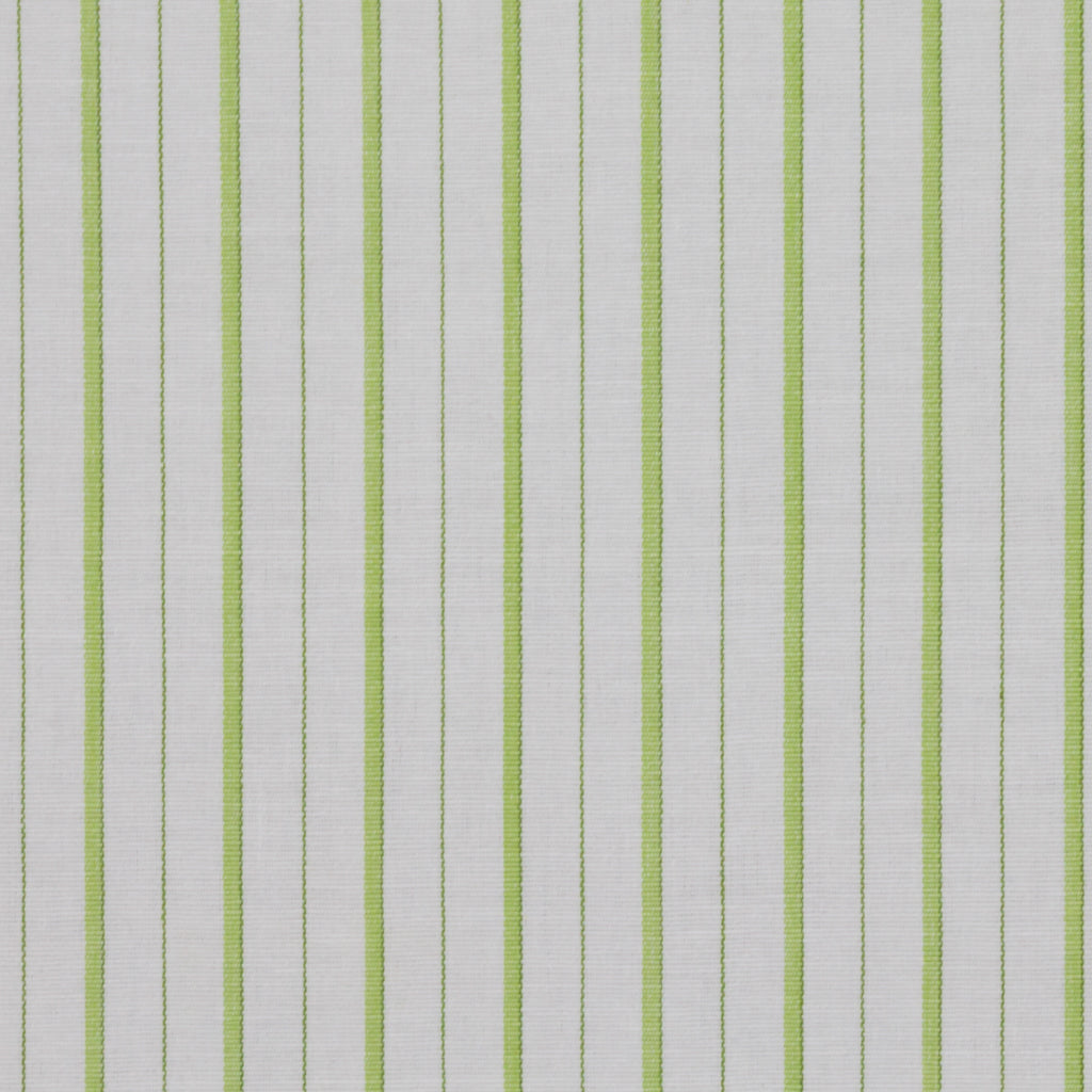DOCKSIDE STRIPE / CITRUS