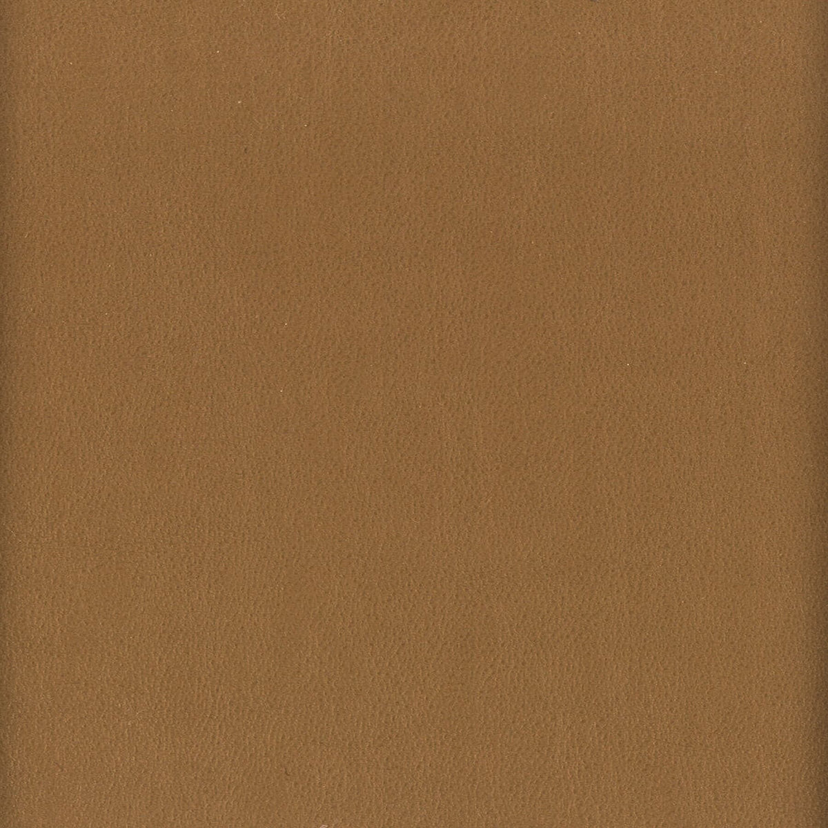 STOUT ELBERT 3 NUT Fabric | Atlanta Fabrics