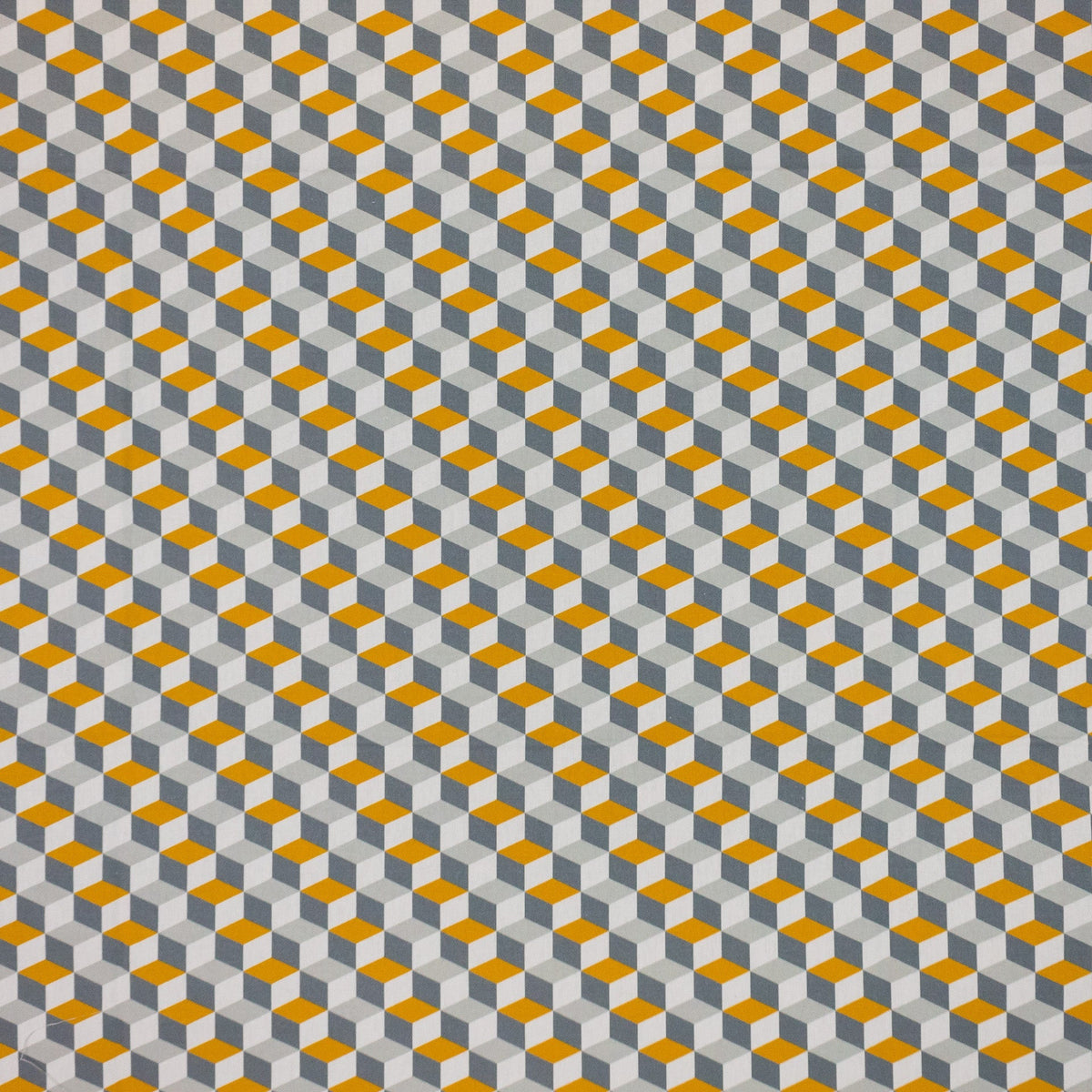 Escher Dijon
