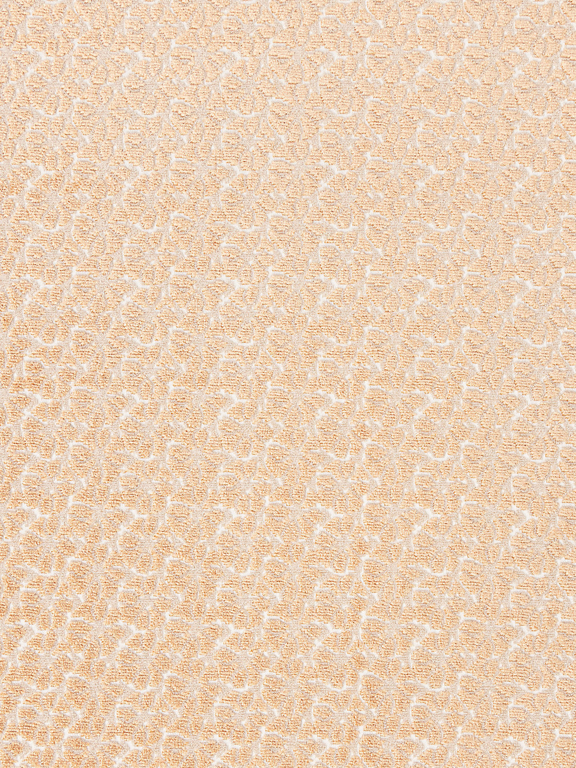 PETAL VELVET PEACH FUZZ