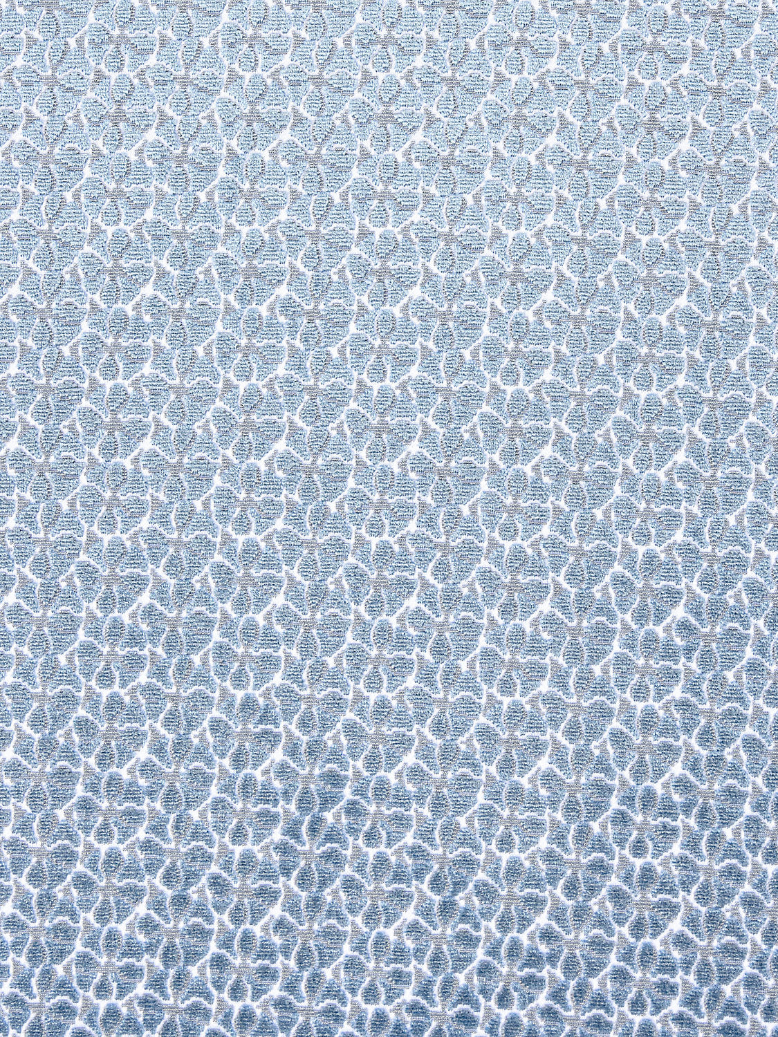 PETAL VELVET CORNFLOWER