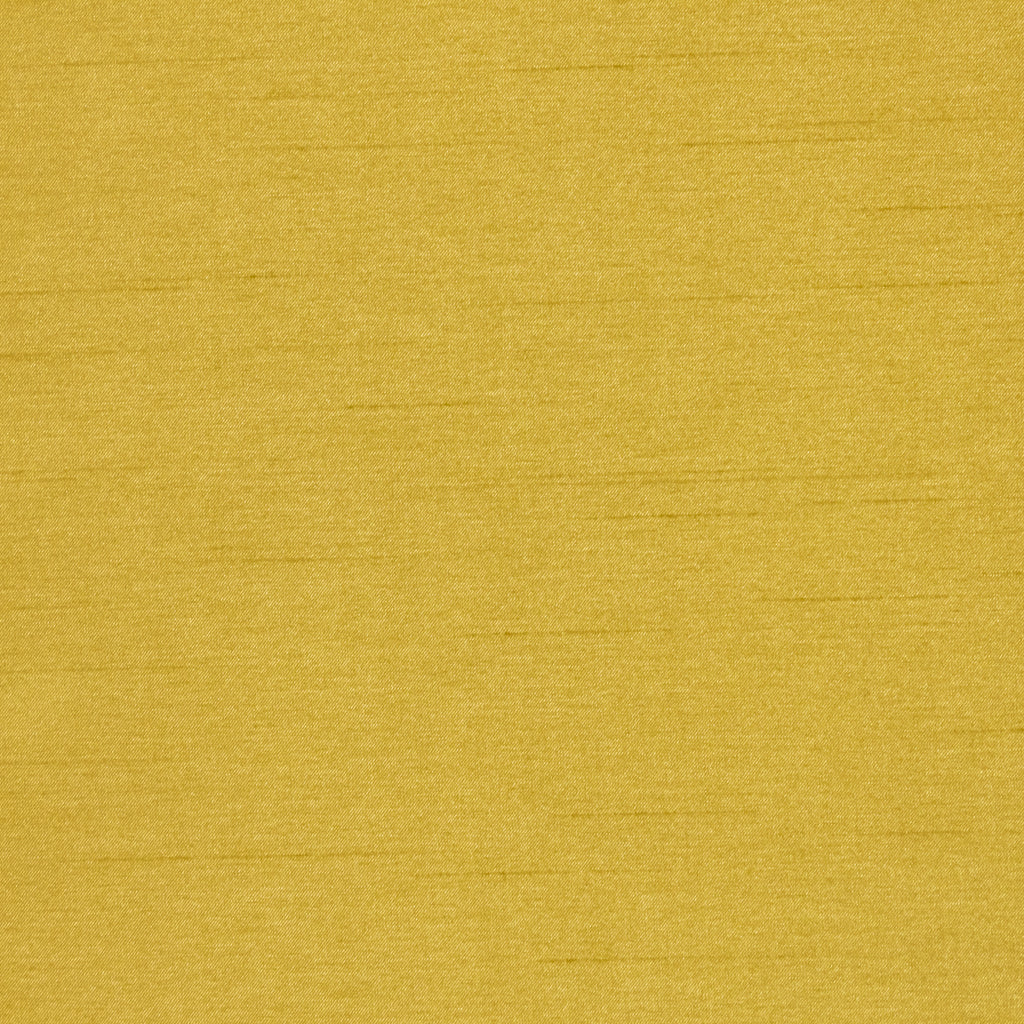 RM Coco KEEPSAKES MAIZE Fabric | Atlanta Fabrics