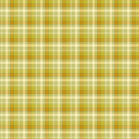 King Fisher Plaid Meadow