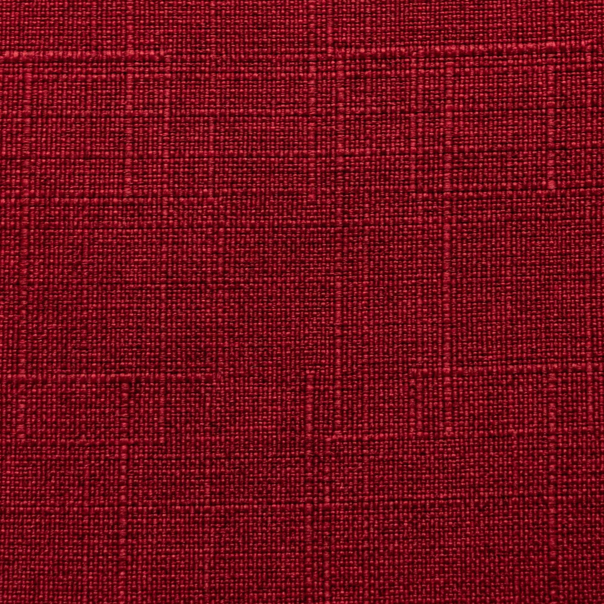 MONTE CARLO / BEGONIA