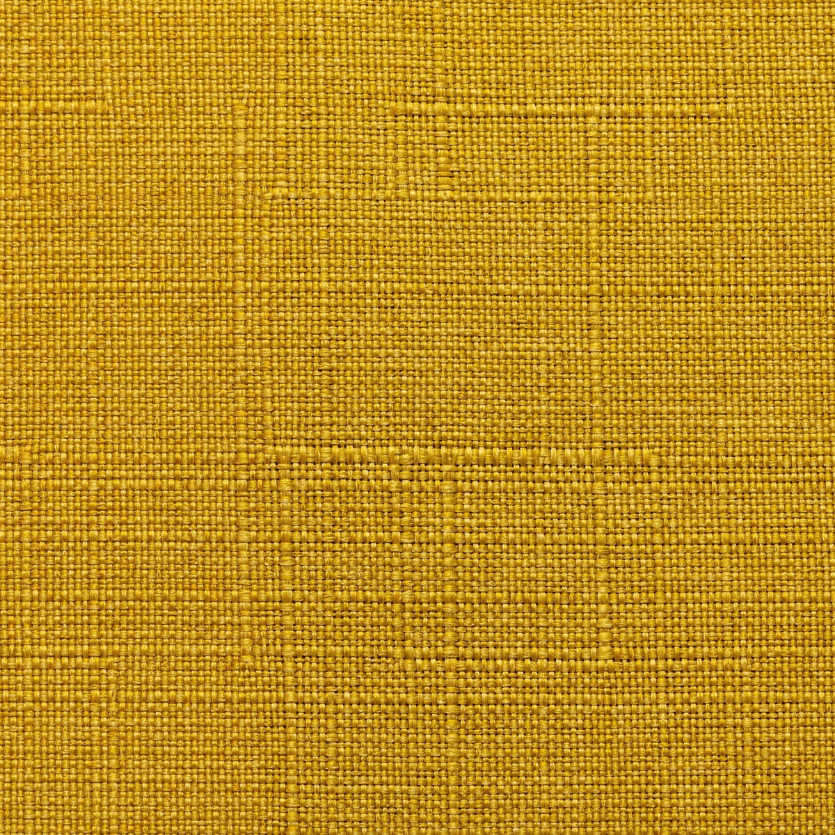 MONTE CARLO / SUNSHINE