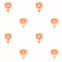 No Cares Orange