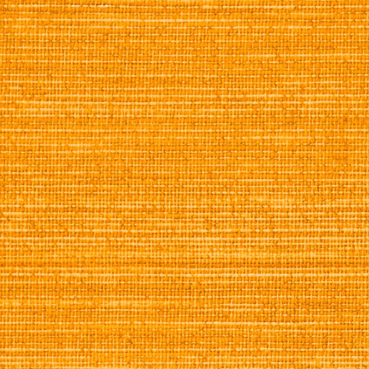 Olean Orange