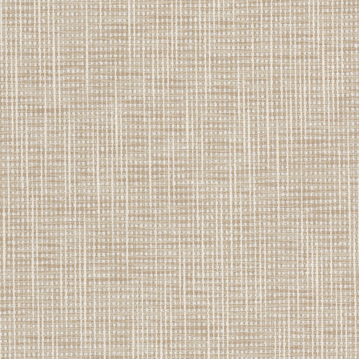 STOUT PATOU 1 SHELL Fabric | Atlanta Fabrics
