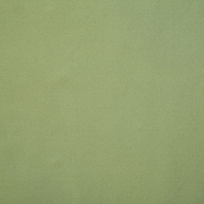 7669 STANFORD-SPRING