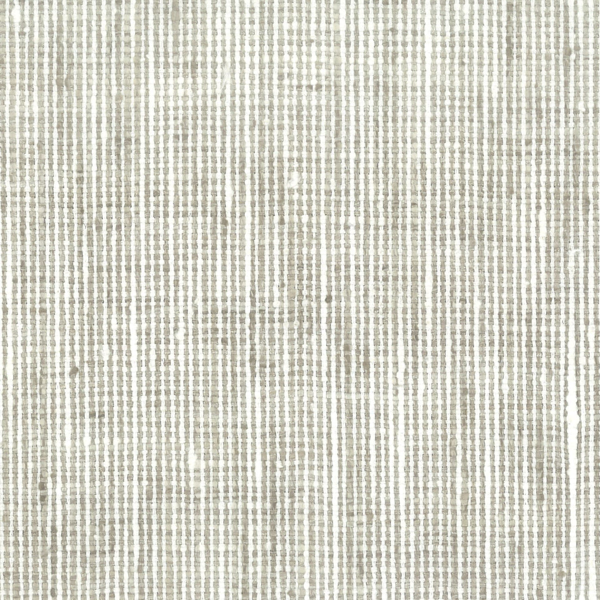STOUT REMBRANDT 2 PLATINUM Fabric | Atlanta Fabrics