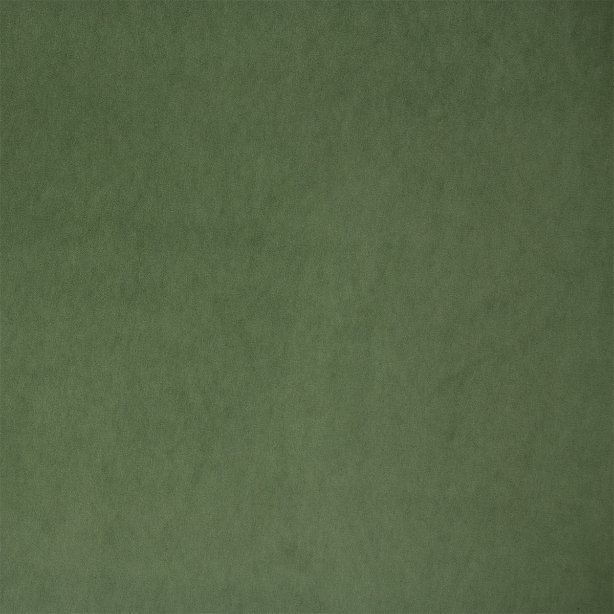 S1061