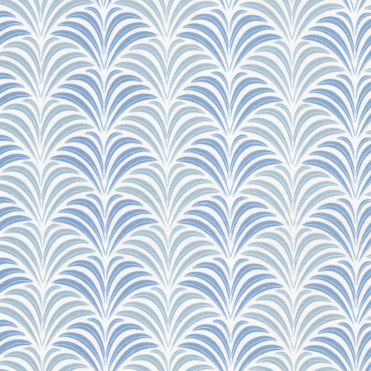 SCHUMAN 2 CORNFLOWER