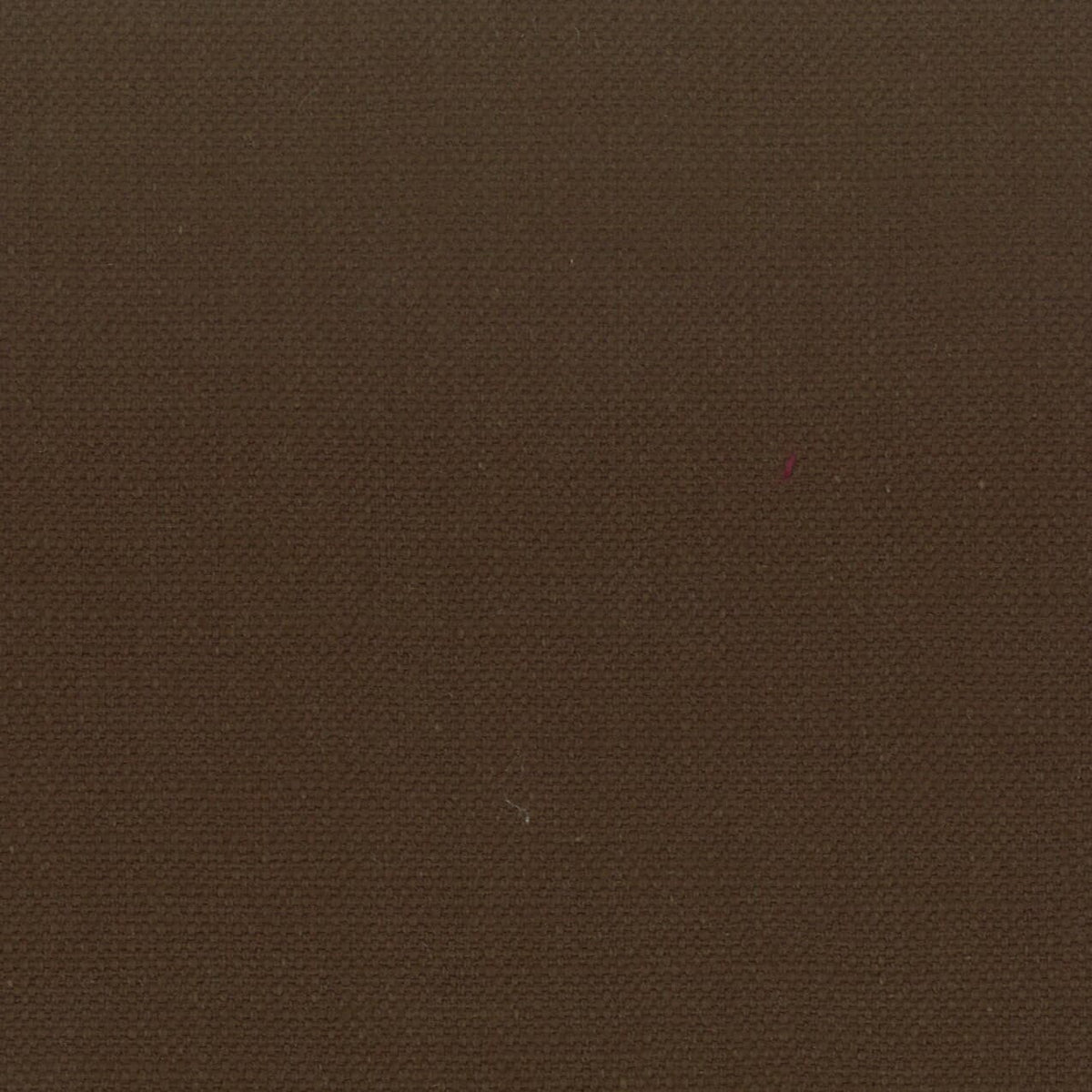 STANFORD 12 ROOTBEER