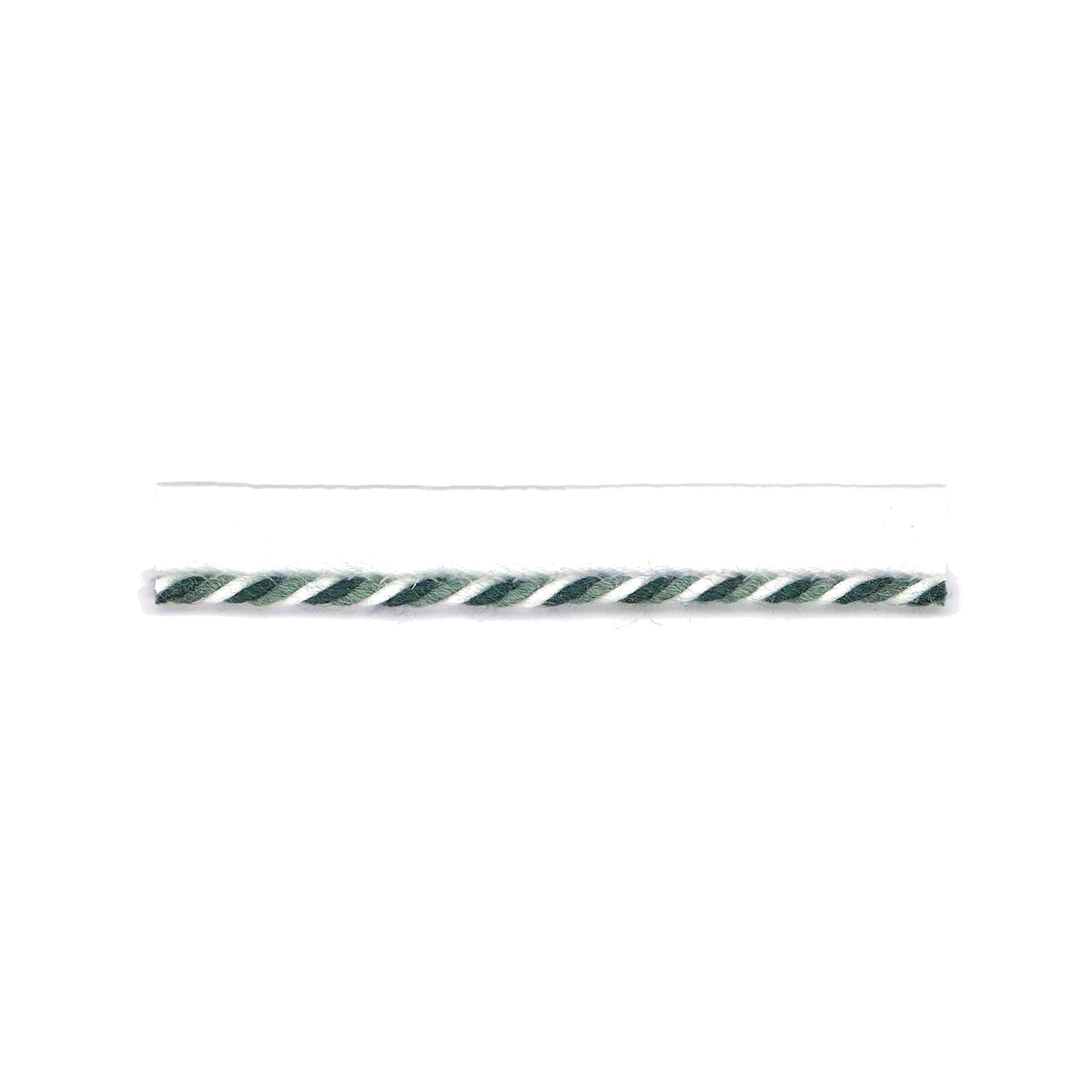 STOUT SWIRL LIP CORD 3 LAGOON Trim | Atlanta Fabrics