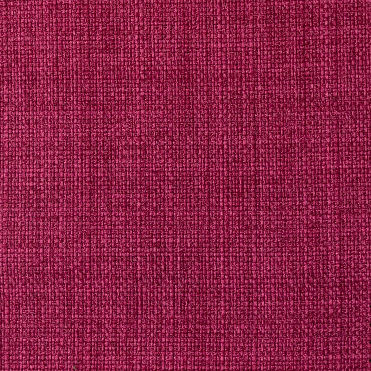 SAINT TROPEZ / TEABERRY