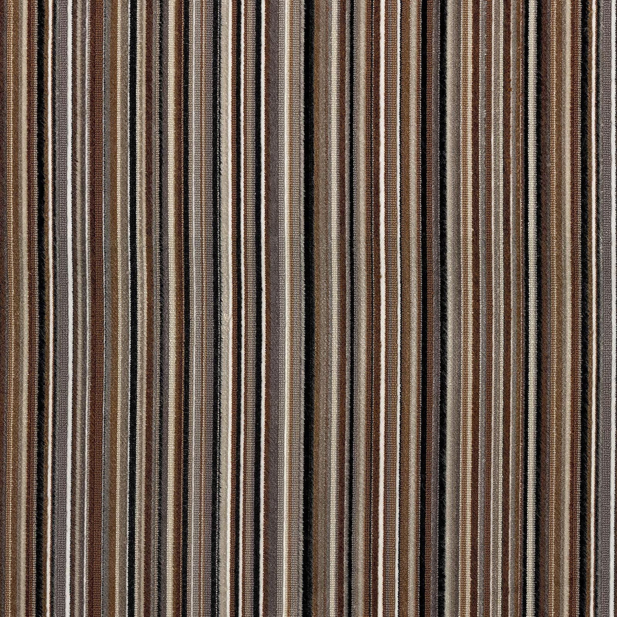 Savoy Stripe / Cappuccino