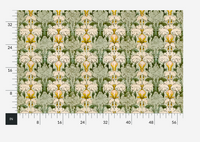 Morning In Carolina Meadow